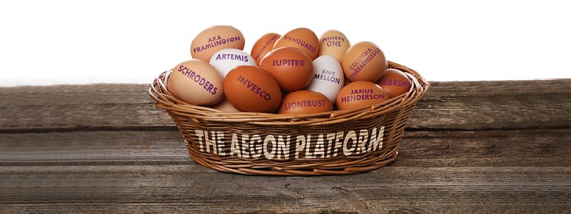 Eggs in basket
